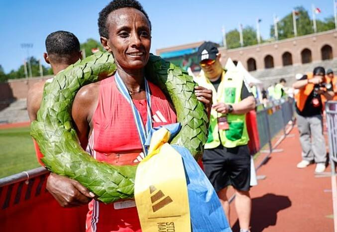 斯德哥尔摩, net