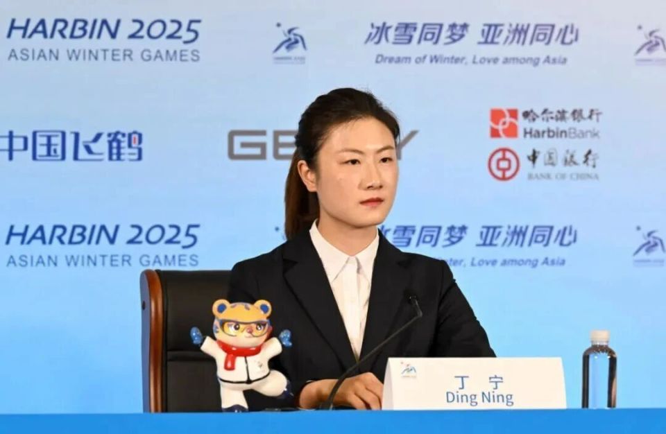 的梦想努力, 丁宁共获得 的梦想努力, 丁宁共获得